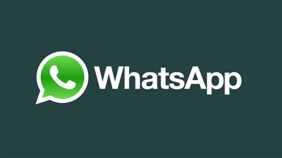 350 triệu người dùng mới WhatsApp hàng tháng