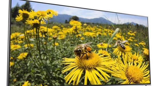 Nhiều TV Ultra HD 4K của LG lên kệ Việt Nam