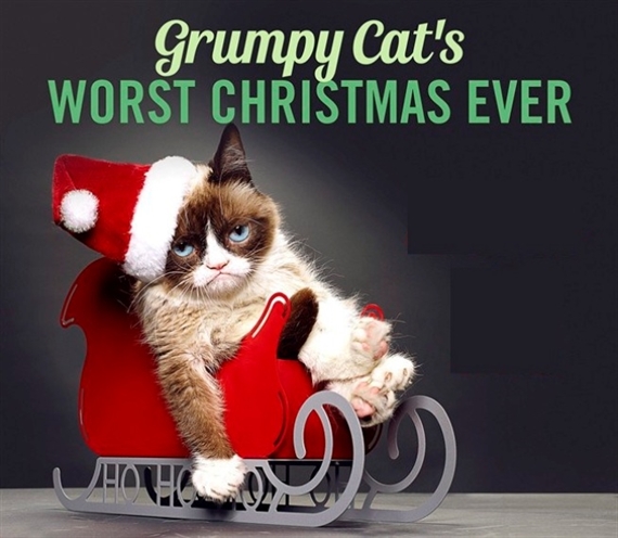Grumpy Cat - Mèo mặt quạu kiếm 2.000 tỷ đồng nhờ internet